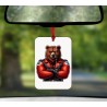 Hanging Air Freshener - Leather(66)