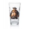 Highball Glass - Cowboy(9)
