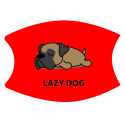 Lazy29