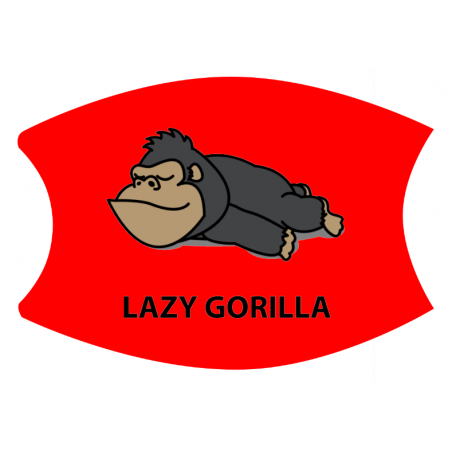 Lazy41