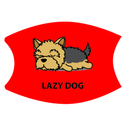 Lazy05