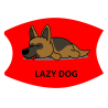 Lazy59