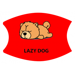 Lazy47