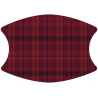 Williams Tartan- 2 Layer