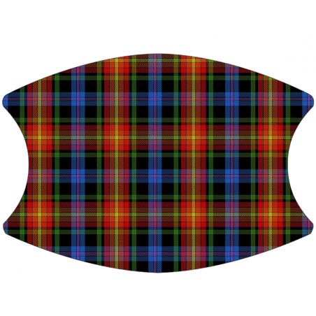 LGBT Pride Tartan- 2 Layer