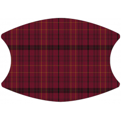 Williams Tartan- 2 Layer