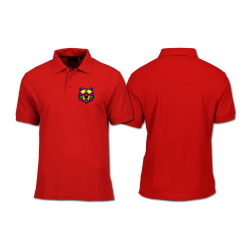 Polo Shirt - Front Print - Pride Colours