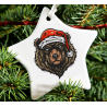 Christmas Decoration - Acrylic Shape - Bear 5
