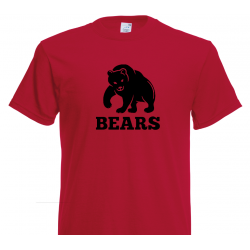 Bear Logo 24