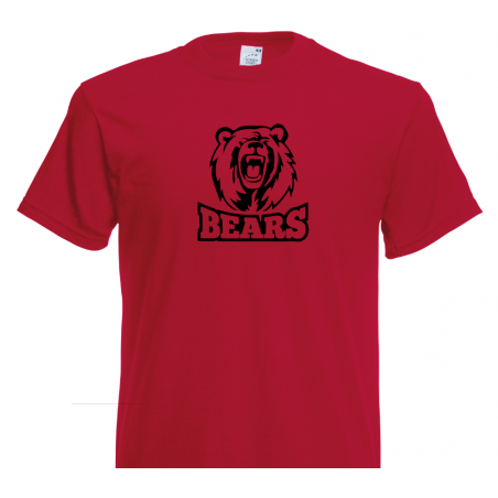 Bear Logo 26