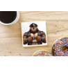 CERAMIC TILE COASTER/ TRIVET - Leather (12)