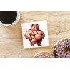 CERAMIC TILE COASTER/ TRIVET - Pig (3)