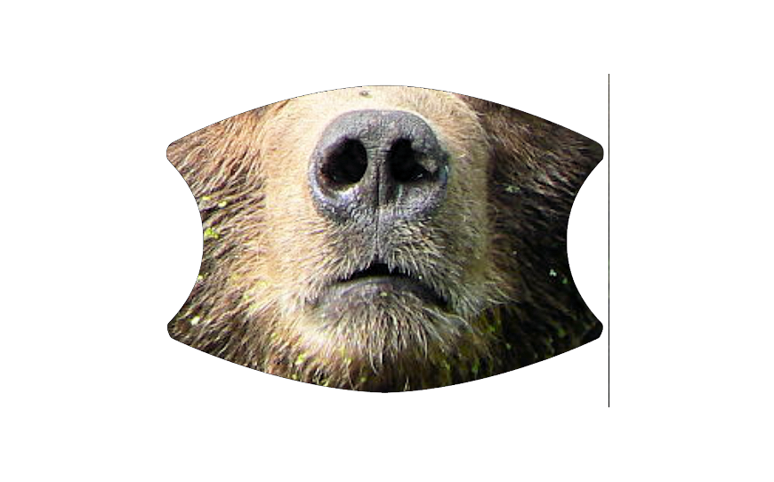 Animal Faces 3